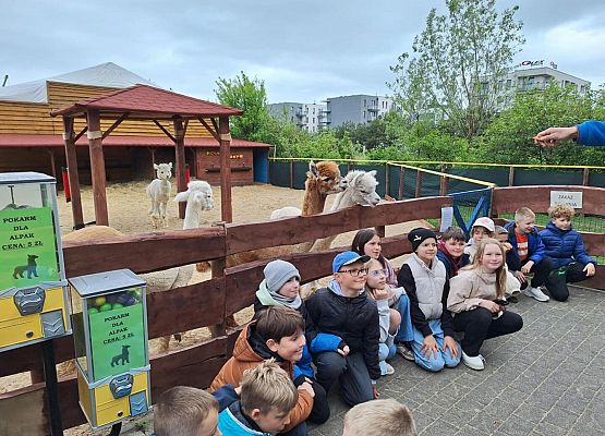 Grafika 16: IIIA w Lemur Parku w Rumi