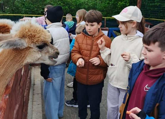 Grafika 18: IIIA w Lemur Parku w Rumi