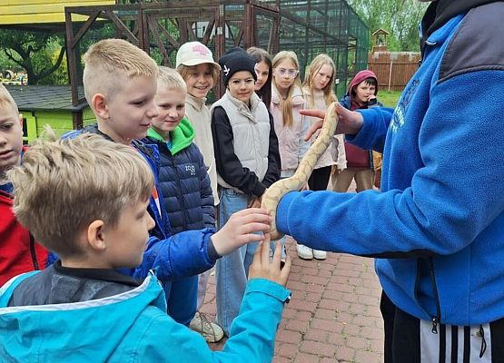 Grafika 23: IIIA w Lemur Parku w Rumi