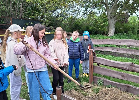 Grafika 29: IIIA w Lemur Parku w Rumi