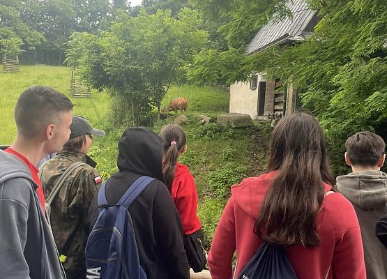 Grafika 19: Wycieczka klasy VIIIa do Wrocławia – miasta spotkań, krasnali i mostów 