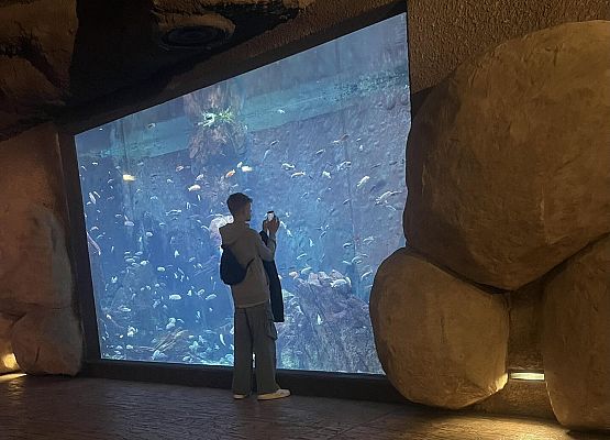 Grafika 22: Wycieczka klasy VIIIa do Wrocławia – miasta spotkań, krasnali i mostów 