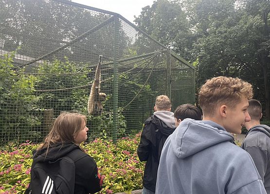 Grafika 24: Wycieczka klasy VIIIa do Wrocławia – miasta spotkań, krasnali i mostów 