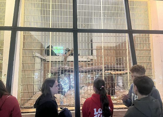 Grafika 35: Wycieczka klasy VIIIa do Wrocławia – miasta spotkań, krasnali i mostów 