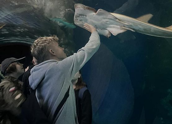 Grafika 44: Wycieczka klasy VIIIa do Wrocławia – miasta spotkań, krasnali i mostów 