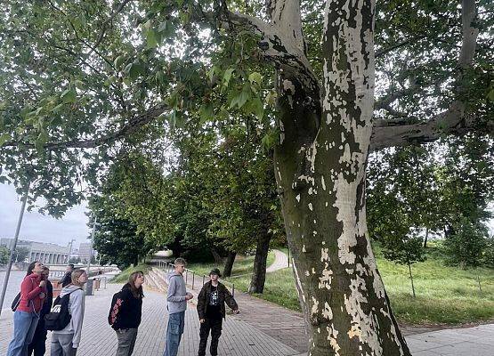 Grafika 50: Wycieczka klasy VIIIa do Wrocławia – miasta spotkań, krasnali i mostów 