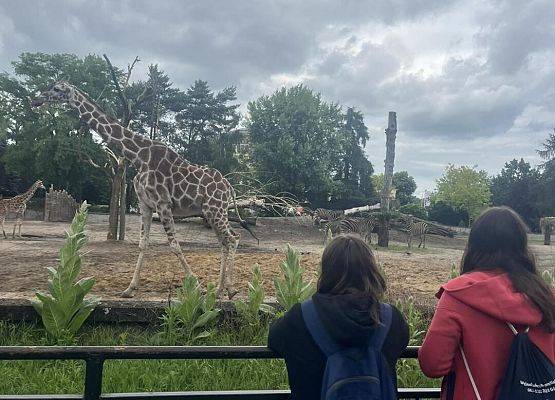 Grafika 51: Wycieczka klasy VIIIa do Wrocławia – miasta spotkań, krasnali i mostów 