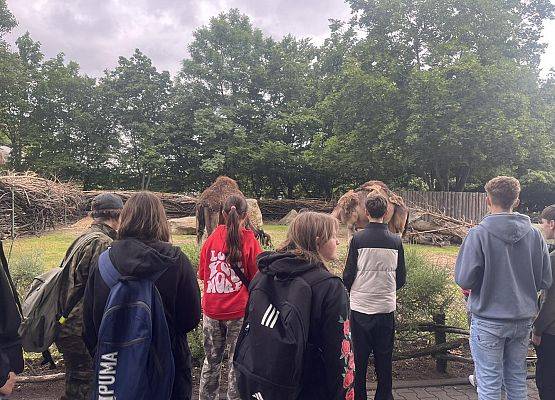 Grafika 58: Wycieczka klasy VIIIa do Wrocławia – miasta spotkań, krasnali i mostów 