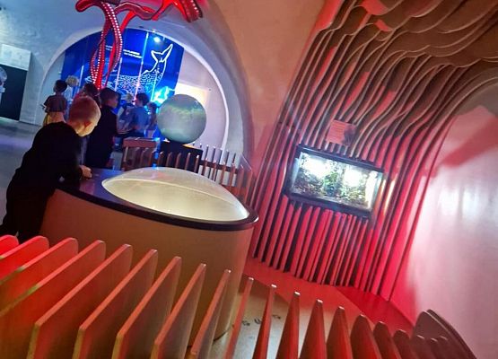 Grafika 3: Wycieczka klas I-III do Gdańska i Centrum Hewelianum