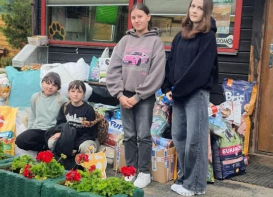 Grafika 4: Wizyta w Schronisku dla Bezdomnych Zwierząt OTOZ Animals W Dąbrówce – razem dla czworonogów! 