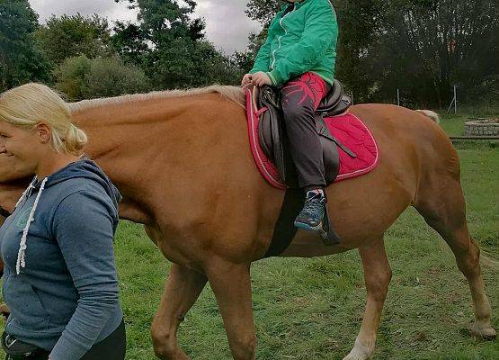 Grafika 15: XVI Olimpiada Osób Niepełnosprawnych