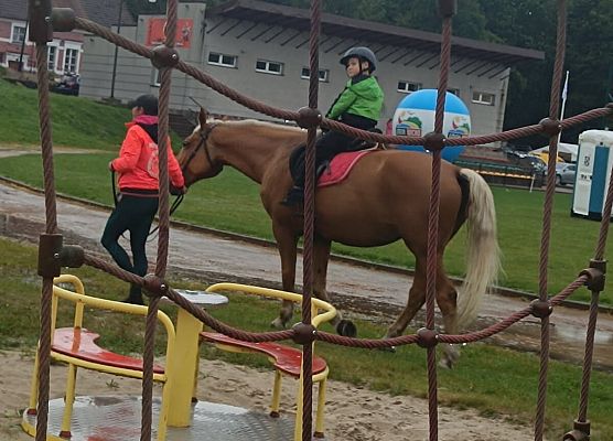 Grafika 25: XVI Olimpiada Osób Niepełnosprawnych