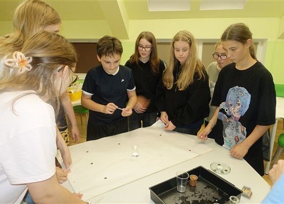 Grafika 19: Nocka w szkole i bibliotece z klasą VIIB