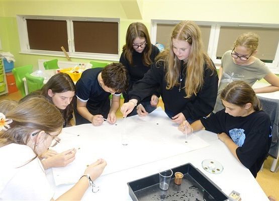 Grafika 21: Nocka w szkole i bibliotece z klasą VIIB