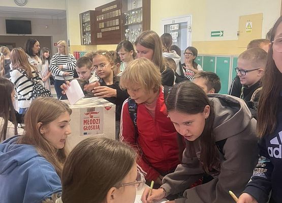 Grafika 11: Wybory do Samorządu Uczniowskiego