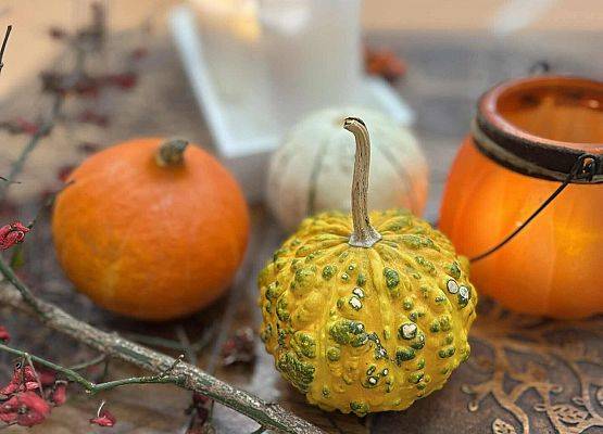 Grafika 45: Fotorelacja z obchodów Dnia Seniora w naszej szkole