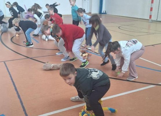 Grafika 9: Obchody Dnia Pluszowego Misia