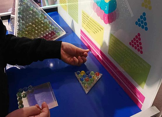 Grafika 25: Edukacyjna wyprawa do Hewelianum! 