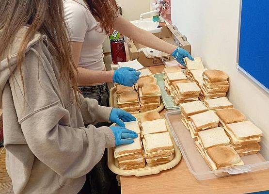 Grafika 11: Dzień Tosta w naszej szkole!