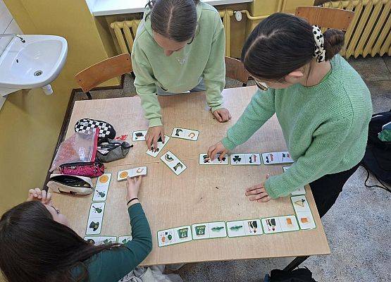 Grafika 5: Obchody Dnia Świętego Patryka, 17.03.2026