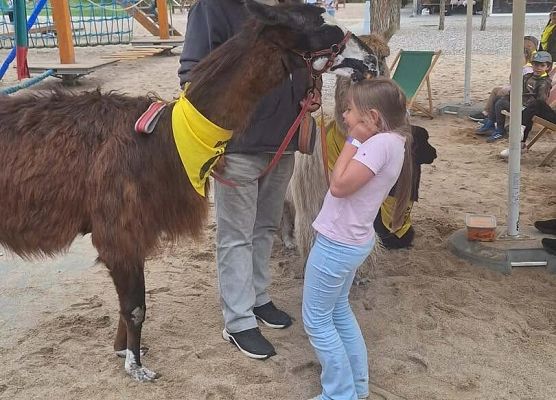 Grafika 3: Uczniowie klasy Ia odwiedzili dziś Costerina Park w Kościerzynie