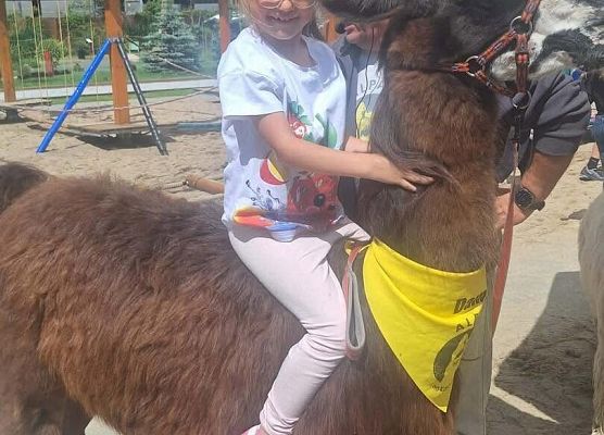 Grafika 8: Uczniowie klasy Ia odwiedzili dziś Costerina Park w Kościerzynie
