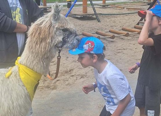 Grafika 13: Uczniowie klasy Ia odwiedzili dziś Costerina Park w Kościerzynie