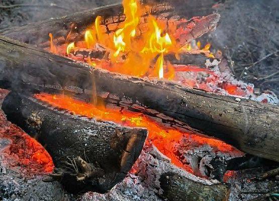 Grafika 37: Biwak IIIB w Smołdzińskim Lesie