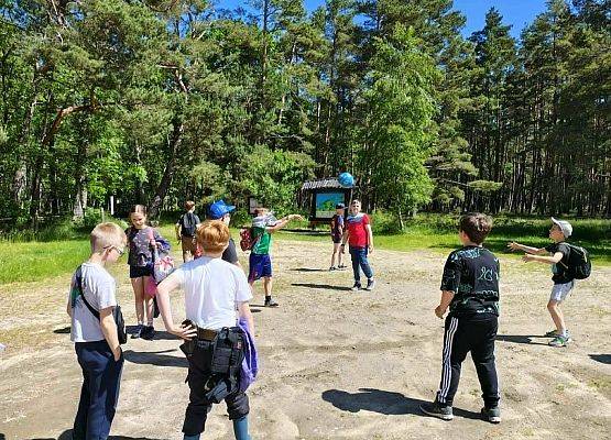 Grafika 54: Biwak IIIB w Smołdzińskim Lesie