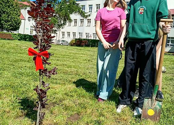 Grafika 3: Nasz szkolny buk ma już imię!