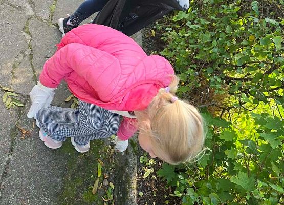 Grafika 19: Uczniowie I-III naszej szkoły zaangażowali się w akcję Sprzątania Świata
